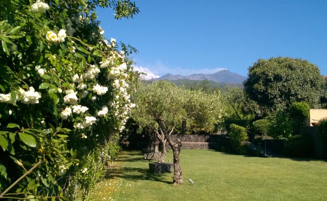 Casa Vacanze Prato Verde ซัฟเฟรานา เอตเนอา ภายนอก รูปภาพ